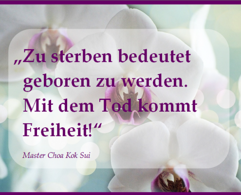 Zitat von Master Choa Kok Sui