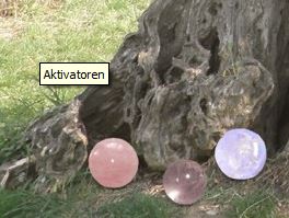 Kristallkugeln liegen zum Aufladen am Fuß eines Baumes