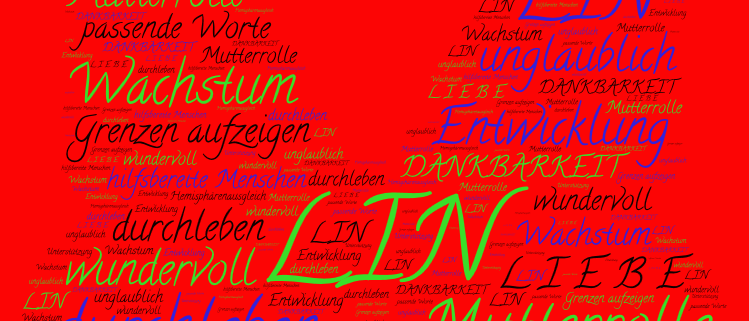 Feedback zu einer LIN Sitzung mit Hemisphärenausgleich