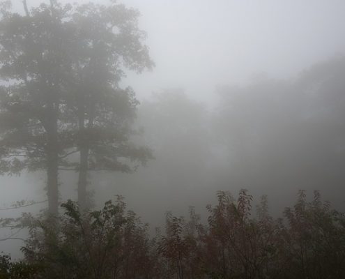Nebelbild für den November Newsletter