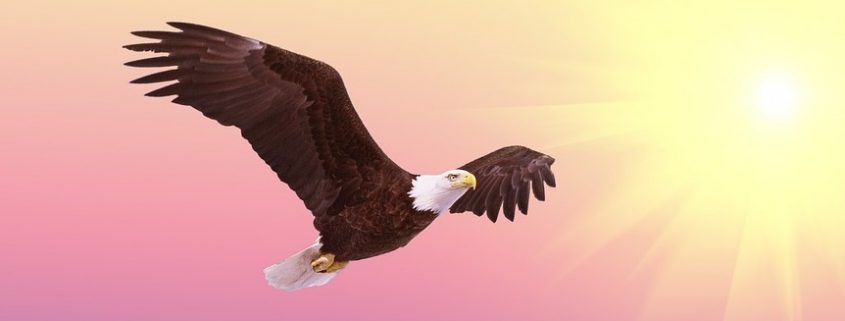 Der Adler symbolisiert, still zu sein