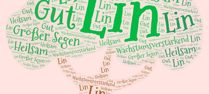 LIN-Sitzungen