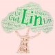 LIN-Sitzungen