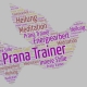 Prana Tainer