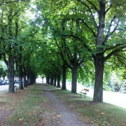 Trauer und Abschied