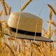 Newsletter Sommerprogramm