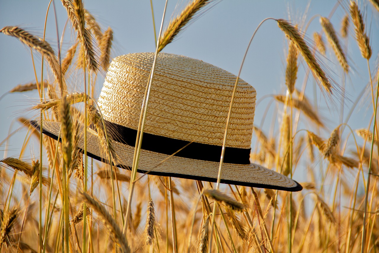 Newsletter Sommerprogramm