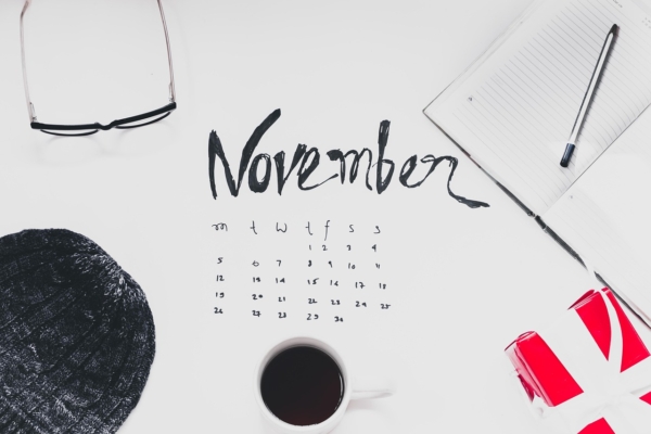 Newsletter November November